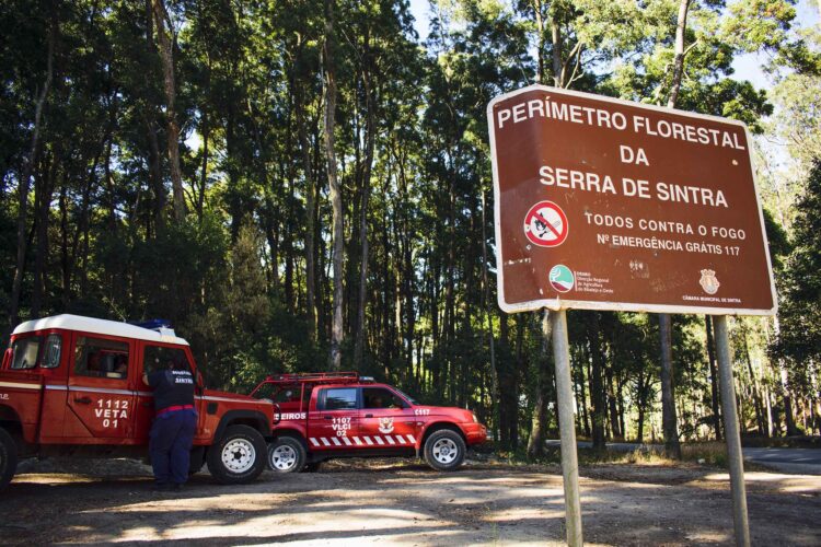Serra de Sintra e monumentos encerrados ao público até terça-feira devido a risco de incêndio 11 Serra de Sintra e monumentos encerrados ao público até terça-feira devido a risco de incêndio