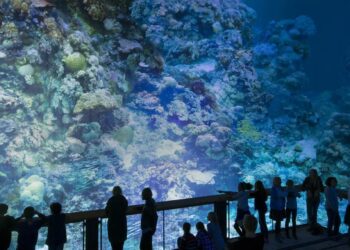 Temporada Cruzada Portugal França atravessa Lisboa e entra nos Maus Hábitos no Porto