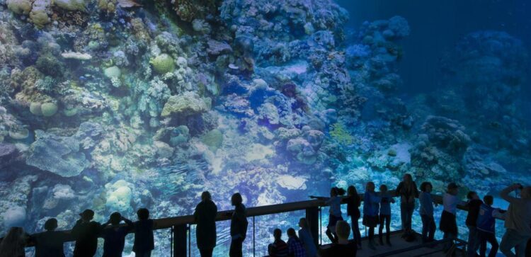 Temporada Cruzada Portugal França atravessa Lisboa e entra nos Maus Hábitos no Porto 11 Temporada Cruzada Portugal França atravessa Lisboa e entra nos Maus Hábitos no Porto