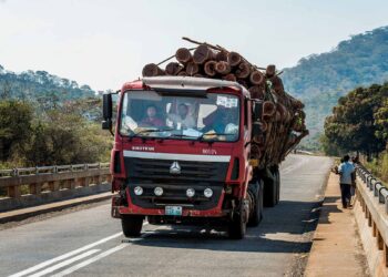 Tribunal rejeita recurso de empresa chinesa acusada de contrabando em Moçambique