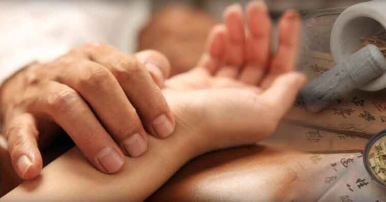 Cabo Verde trabalha com Parque Industrial de Macau para implementar medicina tradicional chinesa