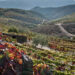 Lamego recebe primeiro Douro & Porto Wine Festival 21 Lamego recebe primeiro Douro & Porto Wine Festival