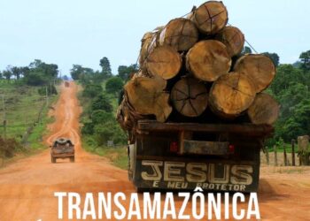 Série documental brasileira debatida em Coimbra