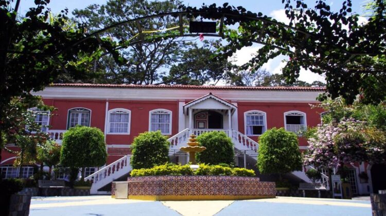 Festa da Primavera na Casa da Madeira de São Paulo 11 Festa da Primavera na Casa da Madeira de São Paulo