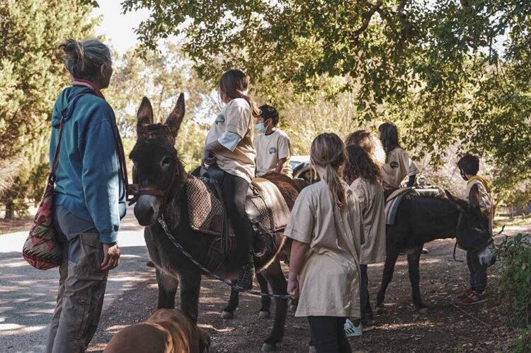 Quatro dias de Turismo Sustentável no Algarve 11 Quatro dias de Turismo Sustentável no Algarve