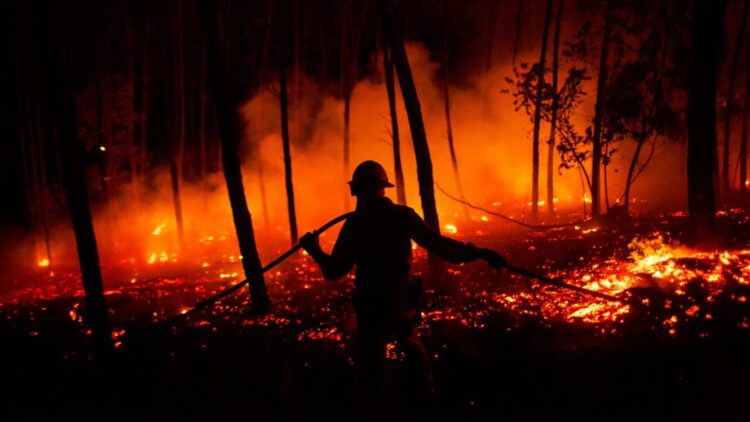 Estrangeiros continuam a aumentar no interior da região de Coimbra 11 Estrangeiros continuam a aumentar no interior da região de Coimbra