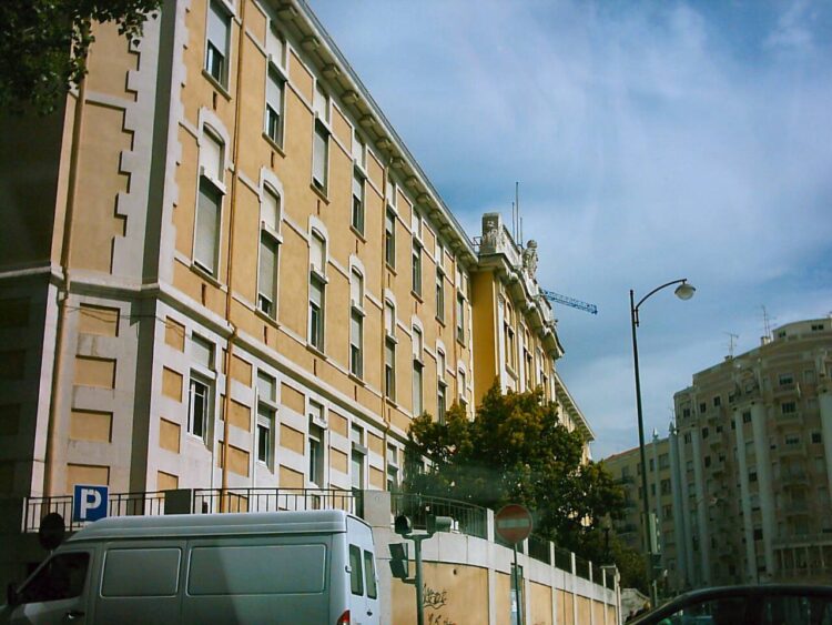 Governo garante que nenhum serviço de Obstetrícia e Blocos de Partos fecha até final do ano 11 Governo garante que nenhum serviço de Obstetrícia e Blocos de Partos fecha até final do ano