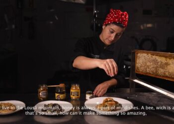 Documentário sobre o Mel da Região de Coimbra duplamente premiado em festival internacional