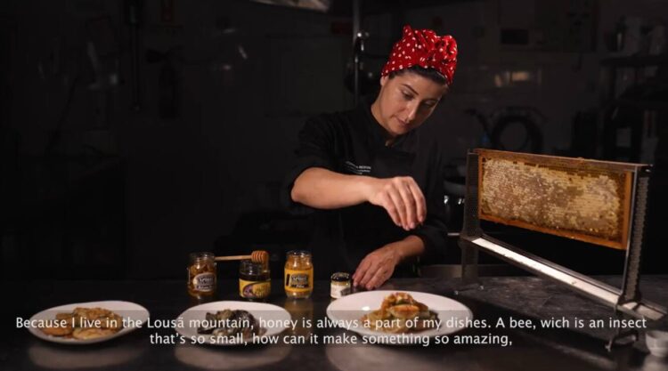 Documentário sobre o Mel da Região de Coimbra duplamente premiado em festival internacional