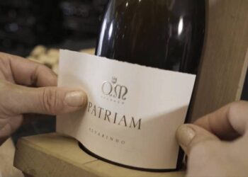 530 produtores de Melgaço representados num vinho exclusivo