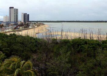 Federação das Câmaras Portuguesas de Comércio no Brasil recebe a 19a Câmara em Sergipe  