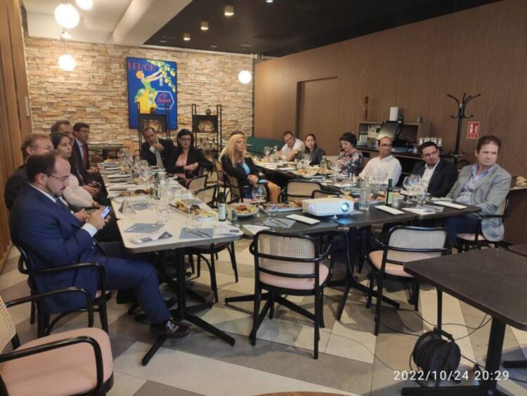 Rede Global da Diáspora esteve em Toulouse 11 Rede Global da Diáspora esteve em Toulouse