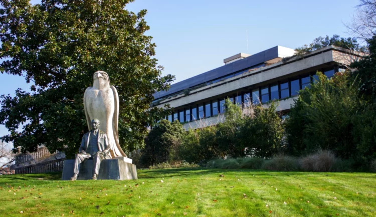 Gulbenkian lança 500 novas bolsas de mérito