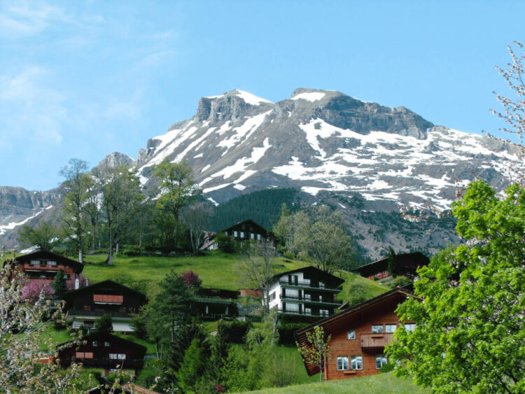 Paulo Cafôfo faz primeira visita à Suiça