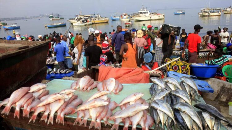 Angola assina tratado da ONU sobre pesca legal e sustentável