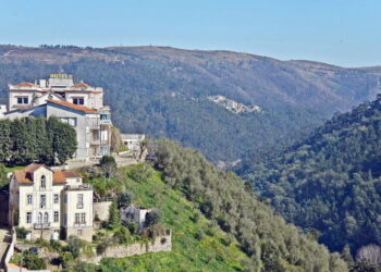 Penacova com três dias de “Sabores da Terra”