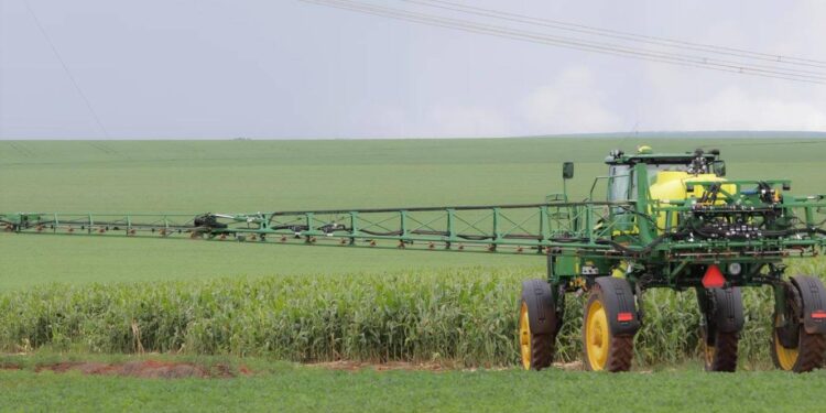 ONU premeia Brasil, Egito e Lesoto por investimentos sustentáveis na agricultura 11 investimentos sustentáveis na agricultura