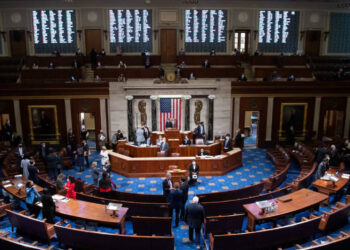 Estados Unidos. Comunidade lusa sem eleitos para o Senado e com três membros na Câmara de Representantes