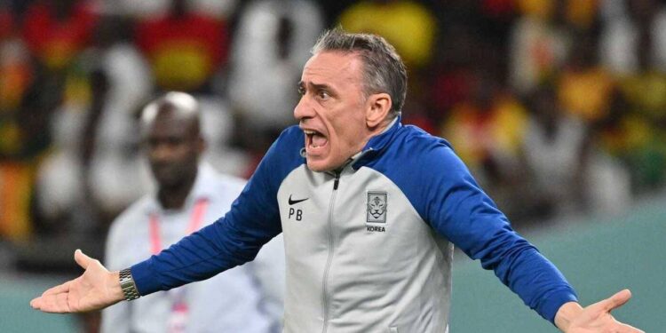 Paulo Bento desculpa-se pela expulsão no Mundial 2022, mas mantém críticas 11 paulo bento treinador