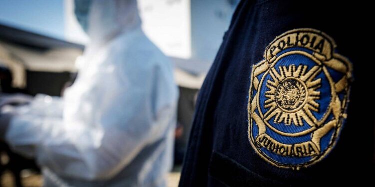 Maior fraude de IVA na UE termina com 14 detenções em Portugal 11 policia judiciaria portugal pj