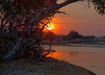 Falta de investimento em energias renováveis atinge nível "alarmante" em África