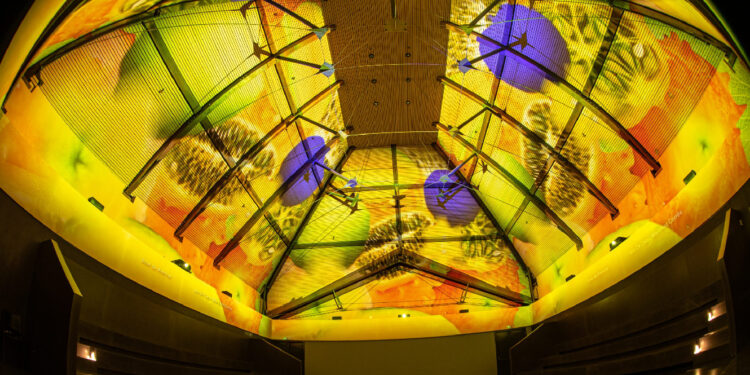 Potencial dos museus para criar sustentabilidade é o tema do Dia Internacional em 2023 11 cultura