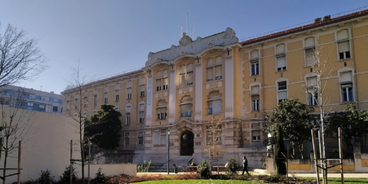 Um em cada três bebés da Maternidade Alfredo da Costa é filho de mãe estrangeira 11 Maternidade