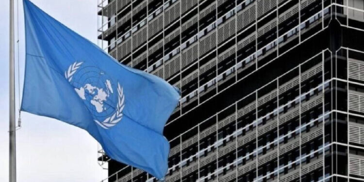 ONU avança com a primeira Sessão do Fórum Permanente de Afrodescendentes 11 ONU