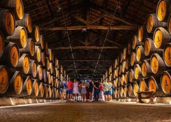 Adega Vinhos Portugal