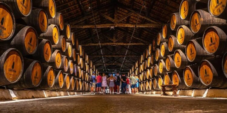 Adega Vinhos Portugal