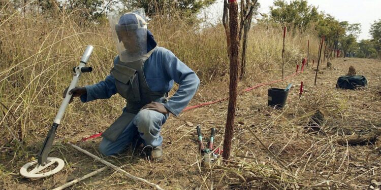 Angola. Japão anuncia fim de projeto de desminagem que limpou 345 mil quilómetros quadrados 11 Angola desminagem