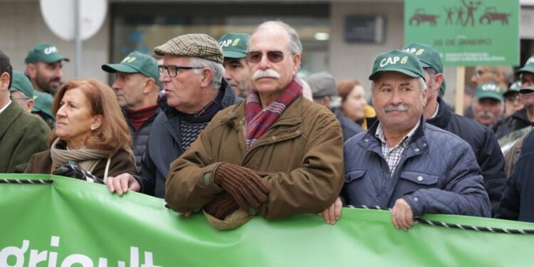 Incompetência está a minar o Ministério da Agricultura, acusa CAP 11 Confederação dos Agricultores de Portugal