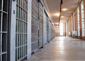 pisao estados unidos