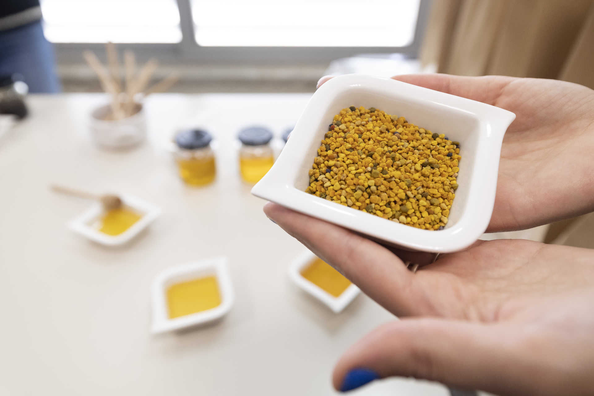 Viagem por Castelo Branco, terra de queijos, bordados e outras artes 18 Viagem por Castelo Branco, terra de queijos, bordados e outras artes