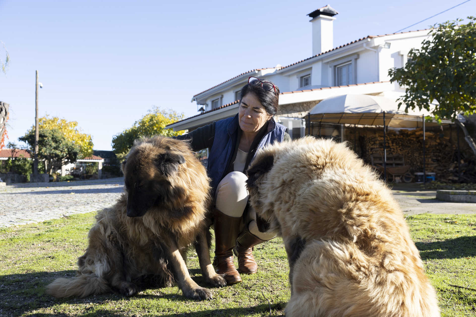 Viagem por Castelo Branco, terra de queijos, bordados e outras artes 16 Viagem por Castelo Branco, terra de queijos, bordados e outras artes