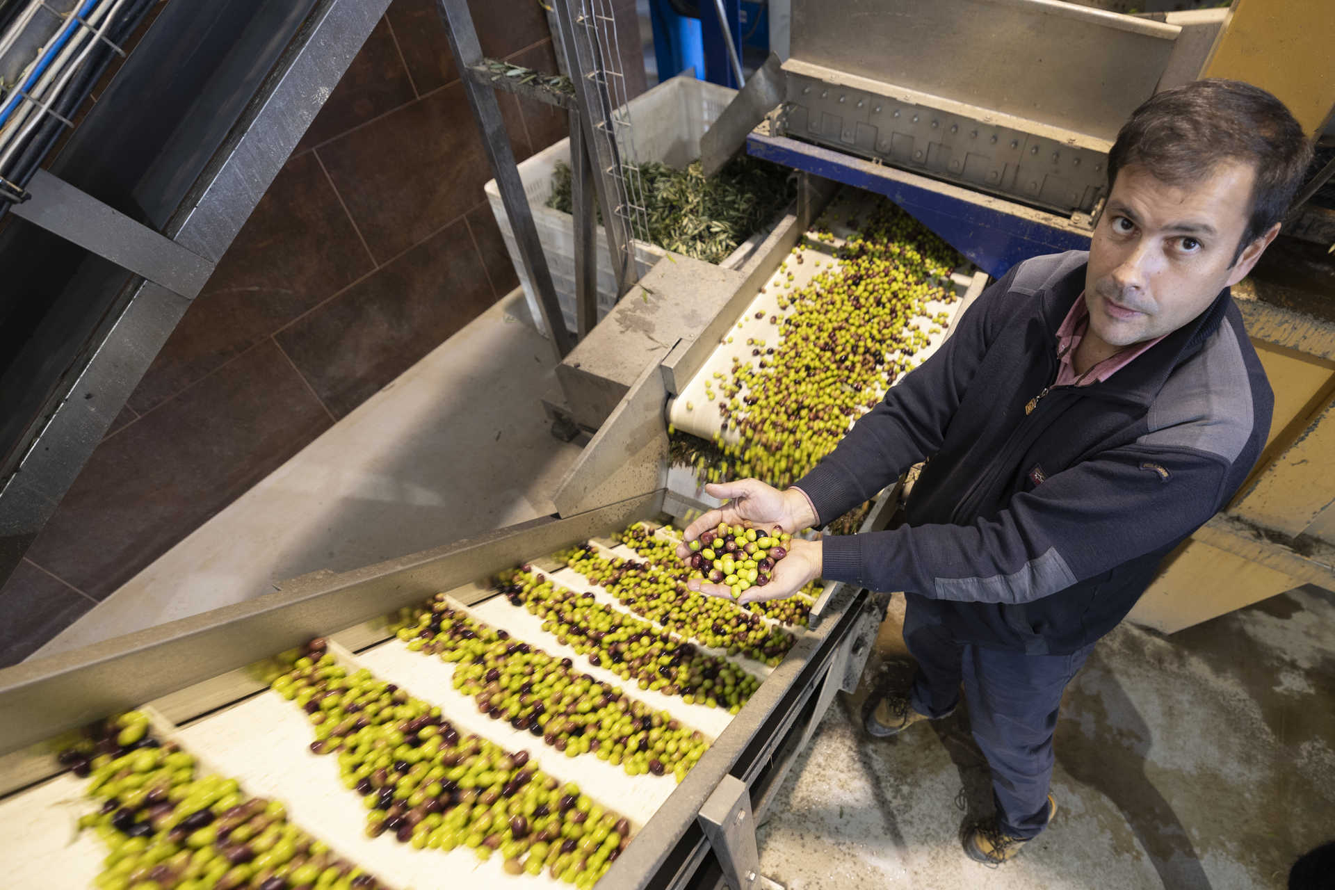 Viagem por Castelo Branco, terra de queijos, bordados e outras artes 17 Viagem por Castelo Branco, terra de queijos, bordados e outras artes
