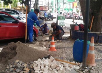 ANIET promove Pedra Portuguesa