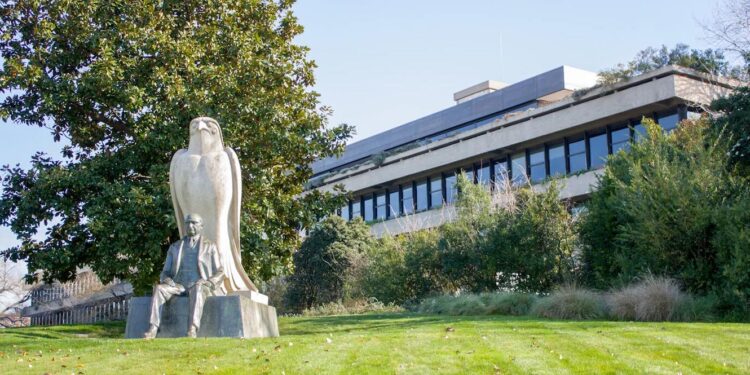 Abertas candidaturas a apoios da Gulbenkian para projetos de criação artística 11 Gulbenkian