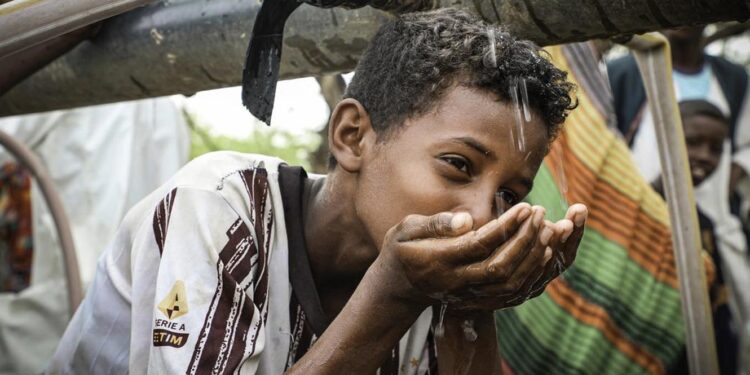 Timor-Leste, Moçambique e Portugal em prioridades da OMS até 2027 11 Timor-Leste, Moçambique