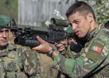 Exercício militar Felino 2023