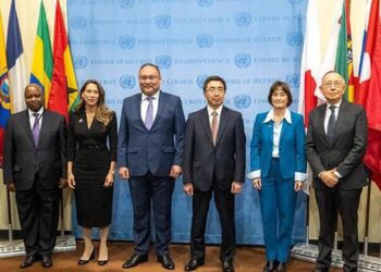 Moçambique Conselho de Segurança