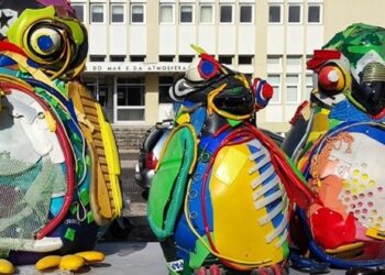 Pinguins-de-Magalhães