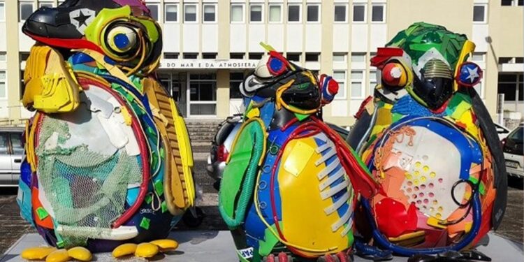 Pinguins-de-Magalhães