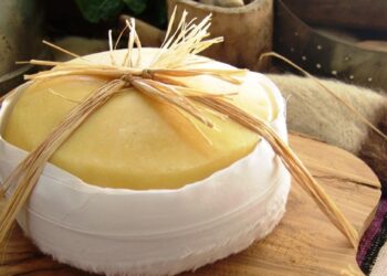 Queijo Serra da Estrela DOP