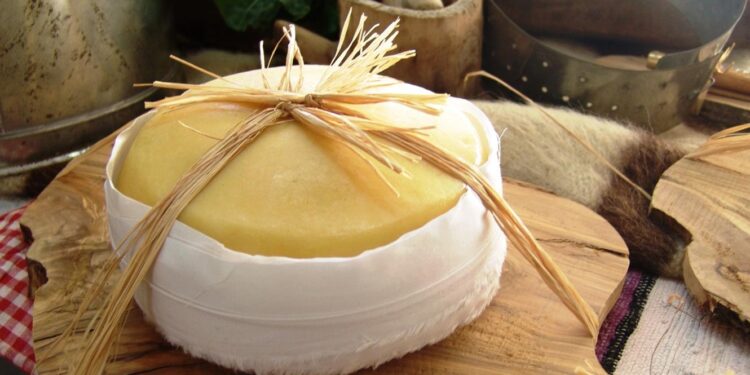 Queijo Serra da Estrela DOP