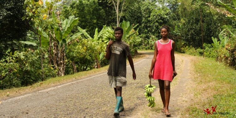 São Tomé e Príncipe. Governo anuncia novas medidas para melhorar condições de vida no Príncipe 11 São Tomé e Príncipe