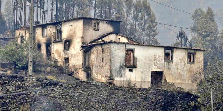 Governo alerta que risco de incêndio aumentou cerca de 40% face a 2022 11 incêndios