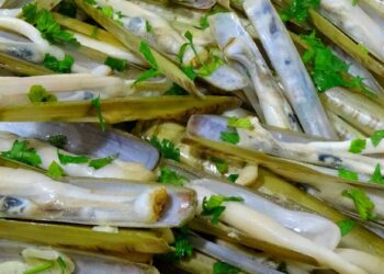 Festival de Gastronomia do Mar em Tavira