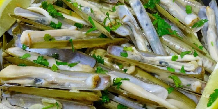 Festival de Gastronomia do Mar em Tavira até 28 de maio 11 Festival de Gastronomia do Mar em Tavira