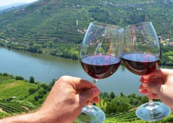 Instituto do Vinho do Porto